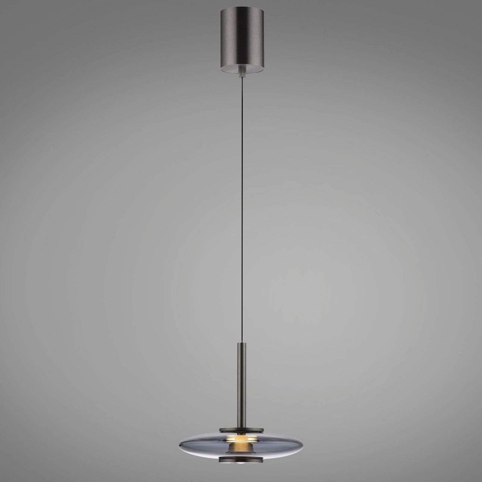 Paul Neuhaus-Pendelleuchte Pure Vitrum