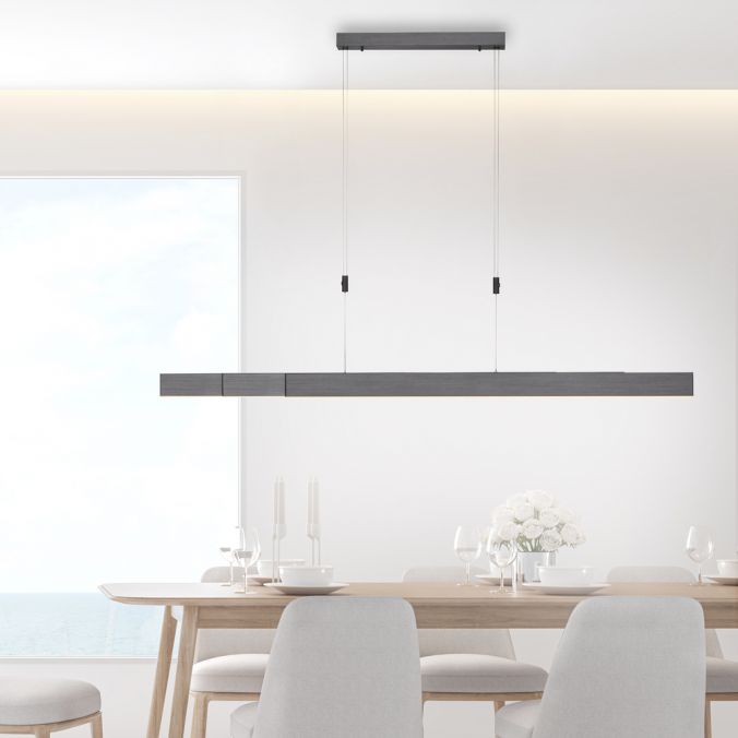 Paul Neuhaus - Pendelleuchte Pure Moto e-Slide