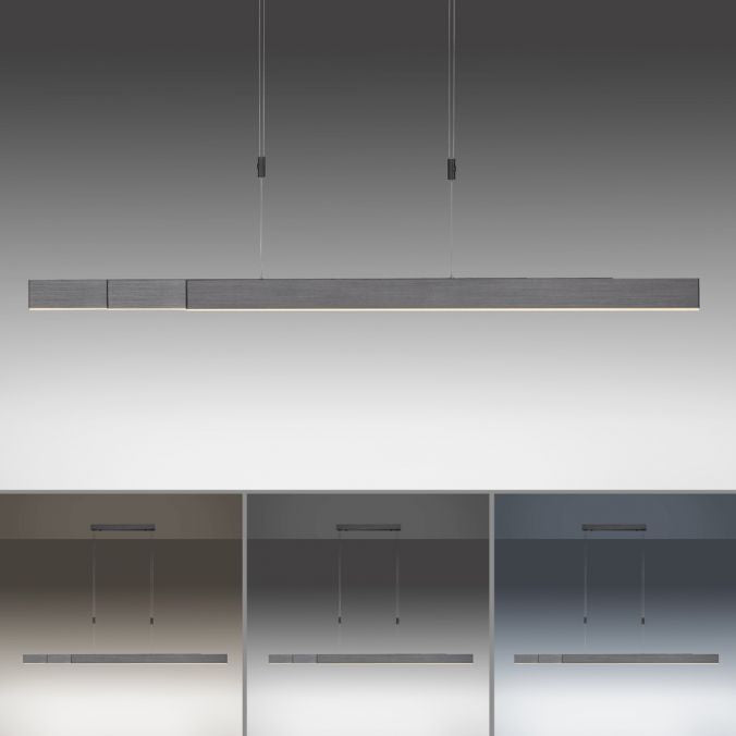 Paul Neuhaus - Pendelleuchte Pure Moto e-Slide