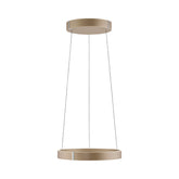 Paul Neuhaus - Pendelleuchte Pure E-Clipse LED