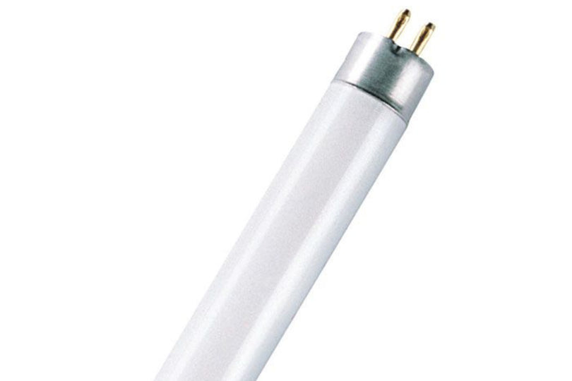 Leuchtstofflampen