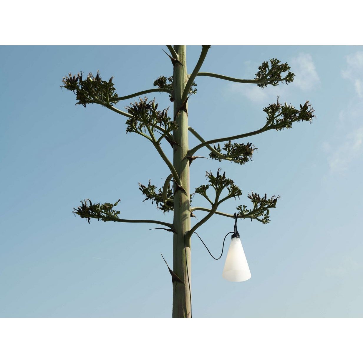 Flos - Allzweckleuchte Mayday Outdoor