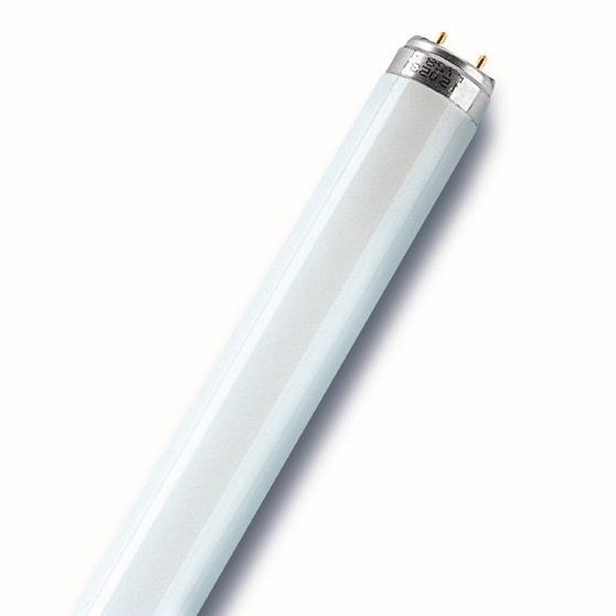 Osram - Leuchtstofflampe Lumilux T8 Stabform Sockel G13 58W/830