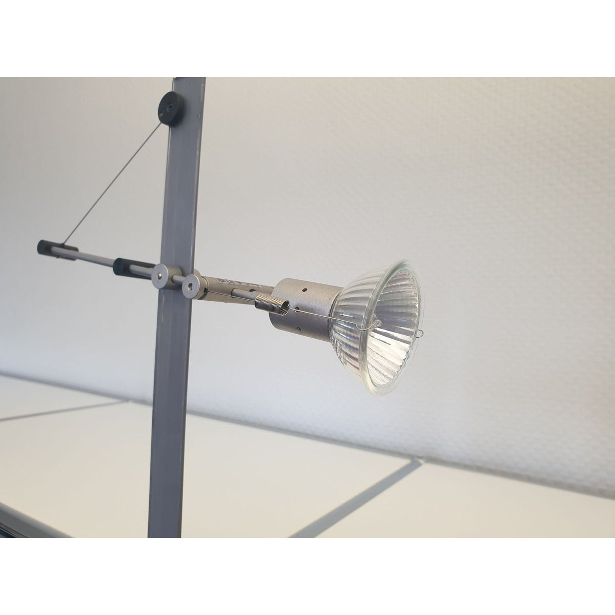 Bruck - Deckenleuchte Basko 50W 12V GY6.35